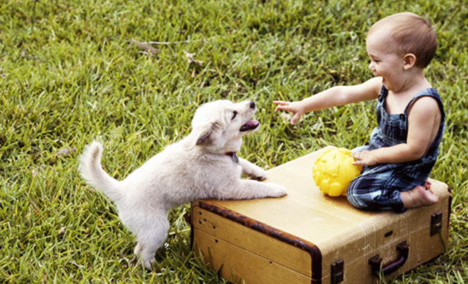 Kleiner Junge spielt mit Hund