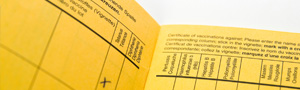 Link zur Seite: Impfstoffe | © Thinkstock