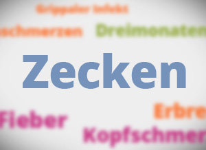 Link zur Seite: Zecken | © BZgA