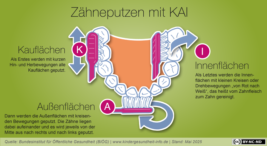 Zähneputzen mit KAI