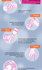 Greifentwicklung bei Babys (0-12 Monate) Greifentwicklung bei Babys (0-12 Monate)