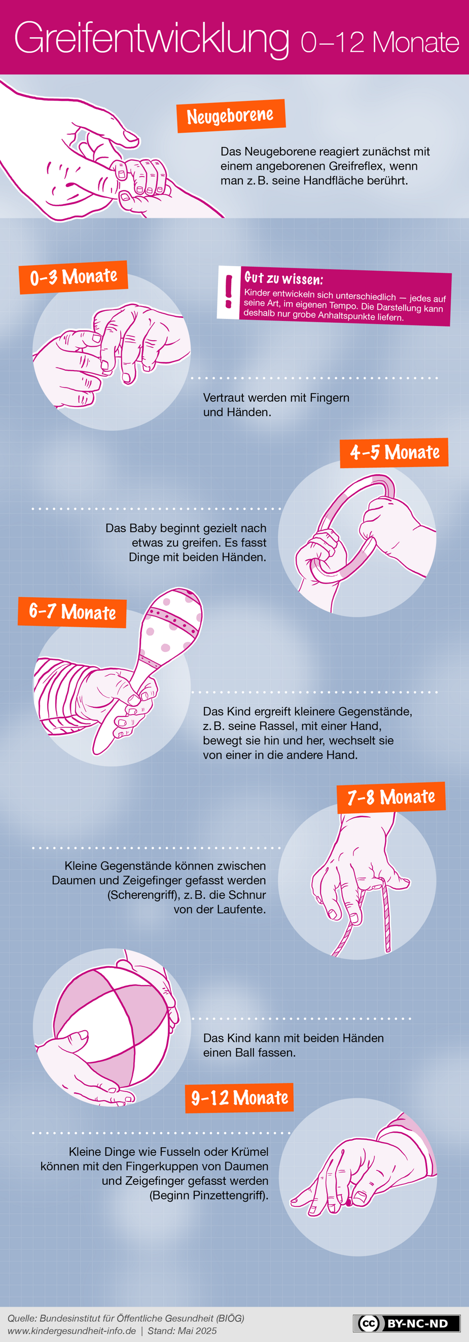 Greifentwicklung bei Babys (0-12 Monate)