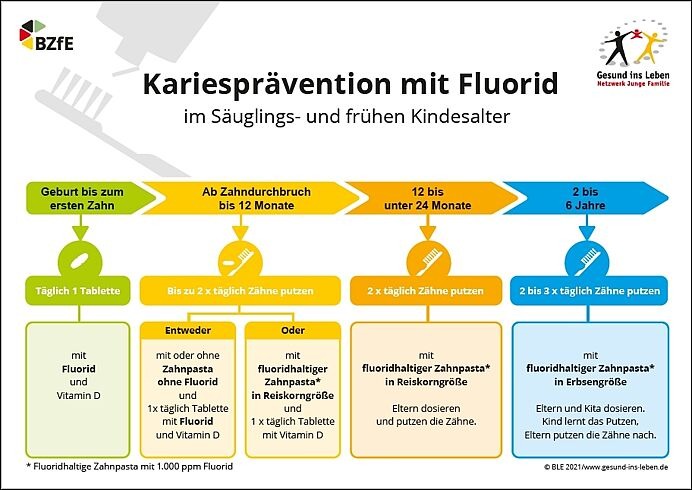 Kariesprävention mit Fluorid Kariesprävention mit Fluorid
