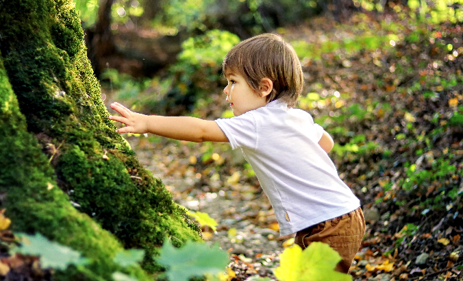 Kleinkind berührt moosbedeckten Baum im Wald