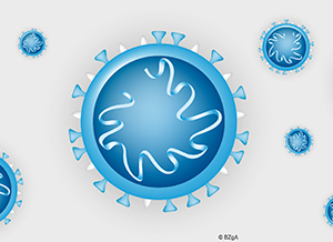 Coronavirus – Elterninformationen