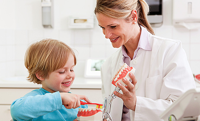 Zahnärztin und Kind putzen Gebissmodell