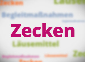 Zecken