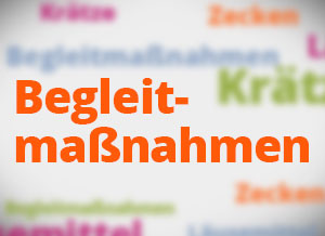 Begleitmaßnahmen 