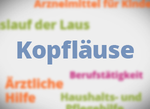 Aufgaben Und Pflichten Von Eltern Einrichtung Und Gesundheitsamt