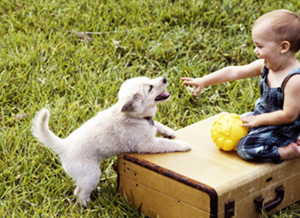 Kleinkind spielt mit Hund