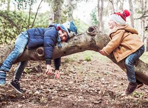 Kinder spielen im Wald