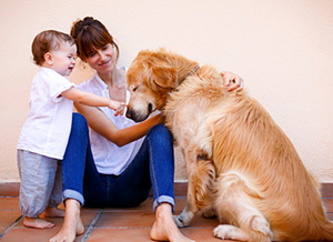 Mutter streichelt mit ihrem Kind einen Hund